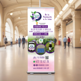 Roll Up publicitario personalizado para eventos